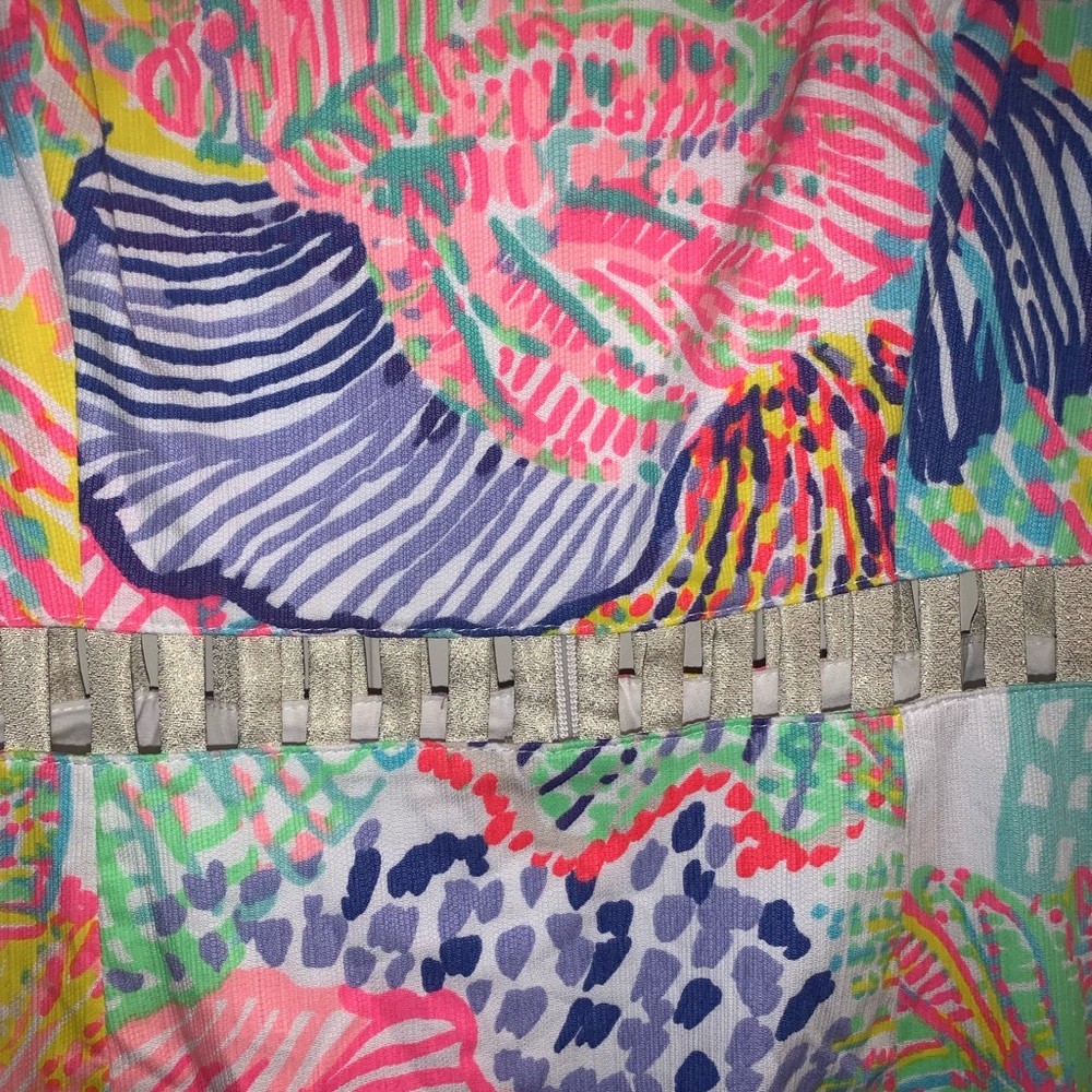 Lily Pulitzer Jumper, Barely Worn - image 5